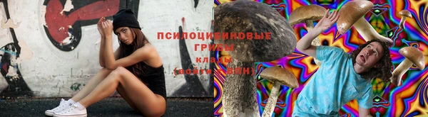 ешки Арсеньев