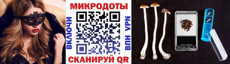 Галлюциногенные грибы MAGIC MUSHROOMS  Губкин 